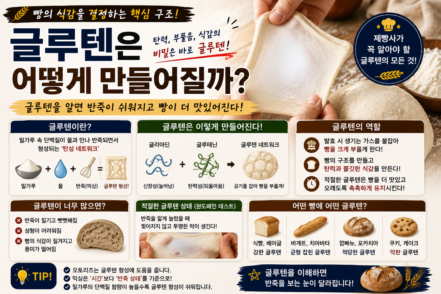 글루텐은 어떻게 만들어질까? 빵의 식감을 결정하는 가장 중요한 구조