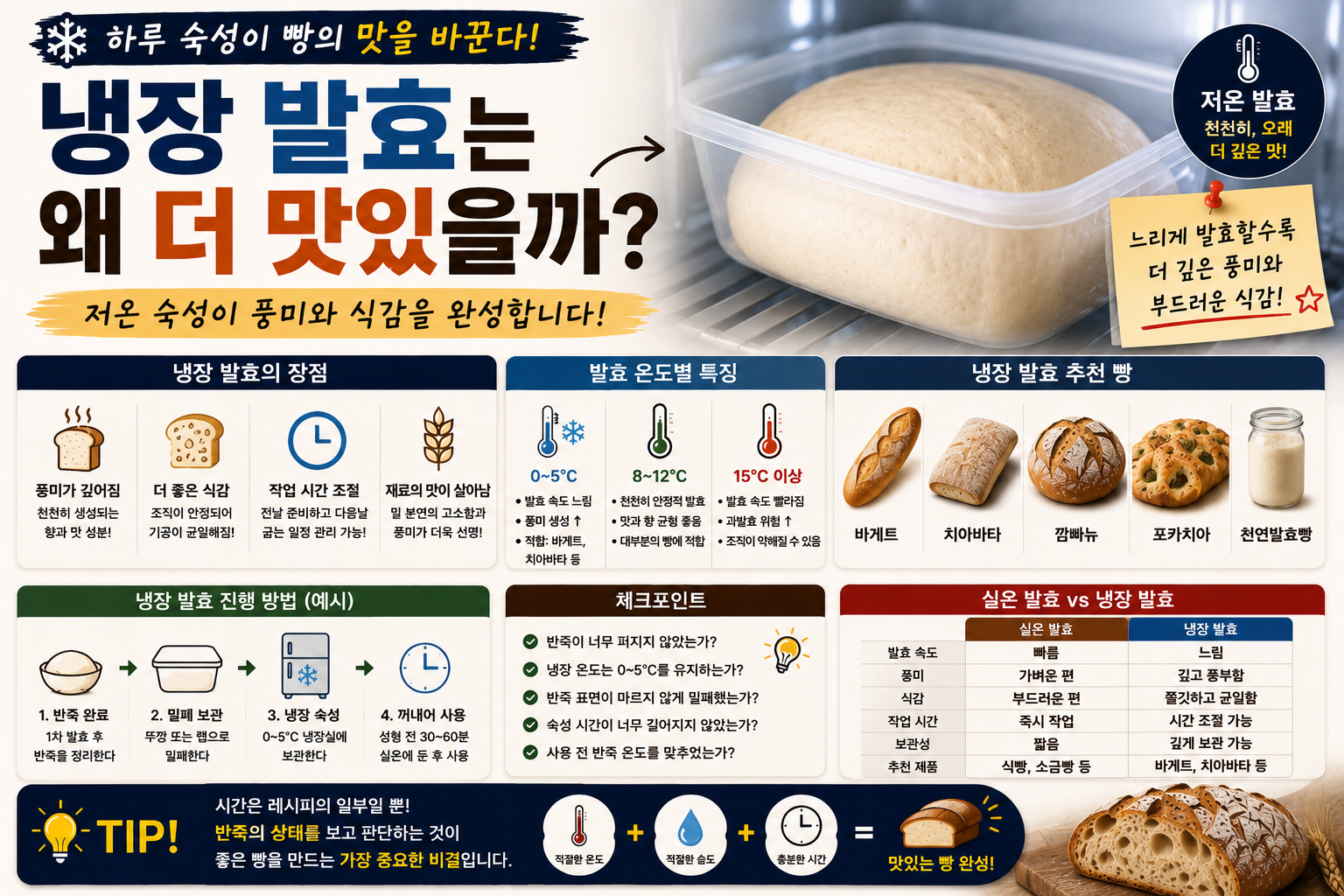 저온발효