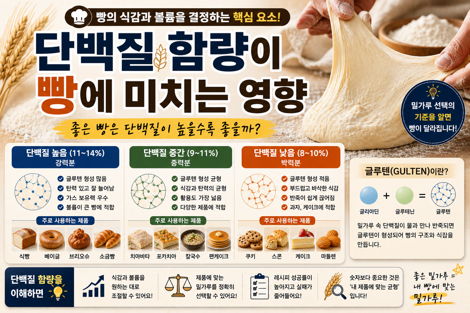 단백질 함량이 빵에 미치는 영향｜좋은 빵은 단백질이 높을수록 좋을까?